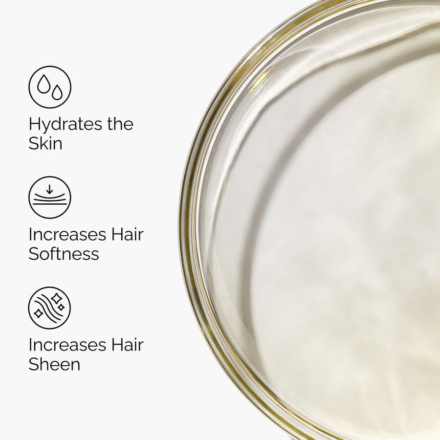 100-organic-cold-pressed-moroccan-argan-oil-a1 FY25-D41247-ORD-Web-PDP-100-Argan-Oil-1x1-EN-3.jpg