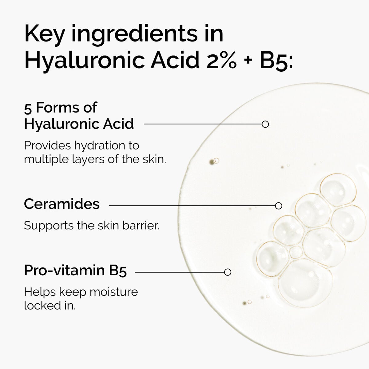 hyaluronic-acid-2-b5-with-ceramides-y5 ord-hyaluronic-acid-2pct-b5-hydrating-serum-ingredients-graphic.jpg