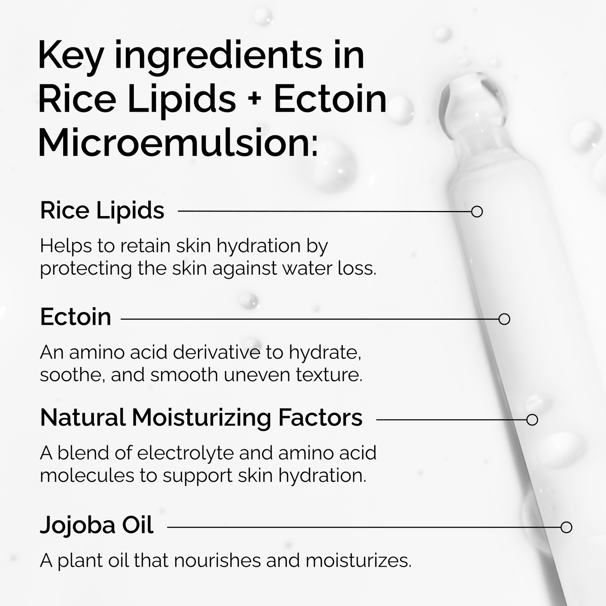 rice-lipids-ectoin-microemulsion-p9 ord-rice-lipids-ectoin-microemulsion-key-ingredients.png