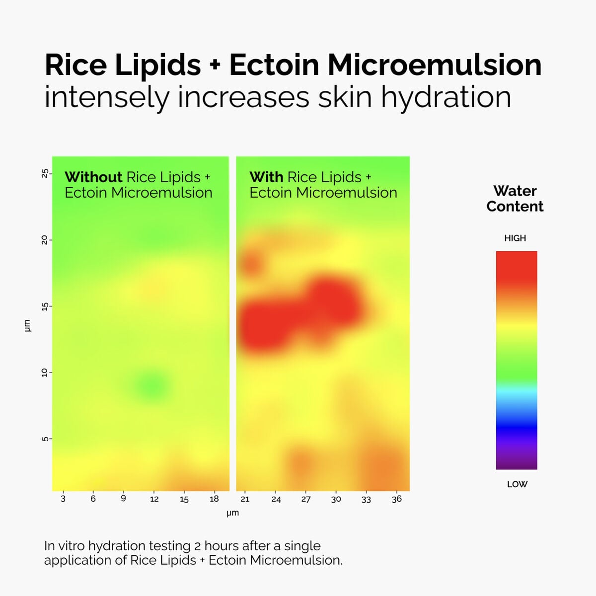 rice-lipids-ectoin-microemulsion-p9 ord-rice-lipids-ectoin-microemulsion-thermal-before-after.jpg